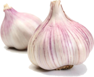 Garlic Free PNG Image Download 15