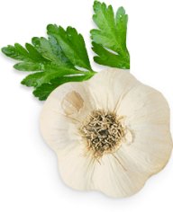 Garlic Free PNG Image Download 19