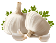 Garlic Free PNG Image Download 2