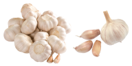 Garlic Free PNG Image Download 21