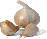 Garlic Free PNG Image Download 22