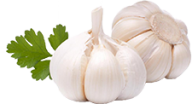 Garlic Free PNG Image Download 23