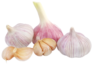 Garlic Free PNG Image Download 24