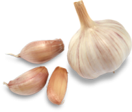 Garlic Free PNG Image Download 26