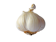 Garlic Free PNG Image Download 29