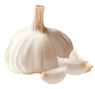 Garlic Free PNG Image Download 38