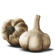 Garlic Free PNG Image Download 40