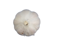 Garlic Free PNG Image Download 42