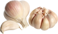 Garlic Free PNG Image Download 8