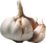 Garlic Free PNG Image Download 9