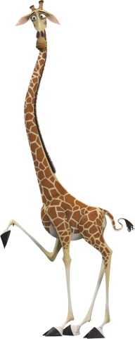Giraffe Free PNG Image Download 15