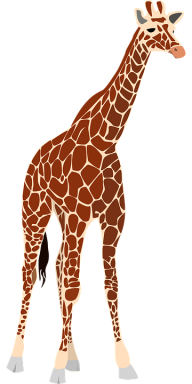 Giraffe Free PNG Image Download 18