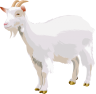 Goat Free PNG Image Download 6