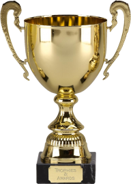Golden Trophy Png