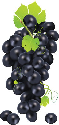 Grape Free PNG Image Download 11