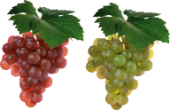 Grape Free PNG Image Download 12