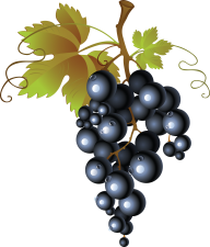 Grape Free PNG Image Download 16