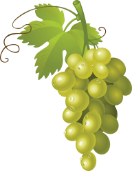 Grape Free PNG Image Download 17