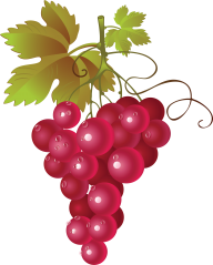 Grape Free PNG Image Download 18