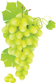 Grape Free PNG Image Download 19