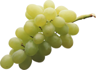 Grape Free PNG Image Download 22