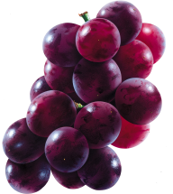 Grape Free PNG Image Download 25