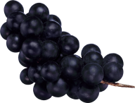 Grape Free PNG Image Download 28