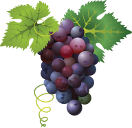 Grape Free PNG Image Download 29