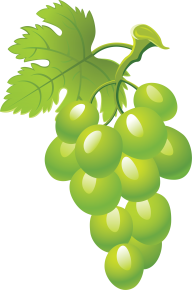 Grape Free PNG Image Download 32