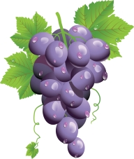 Grape Free PNG Image Download 35