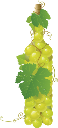 Grape Free PNG Image Download 36
