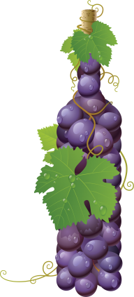 Grape Free PNG Image Download 37