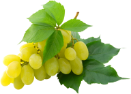 Grape Free PNG Image Download 4