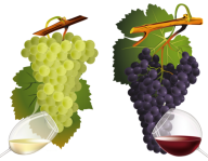 Grape Free PNG Image Download 46