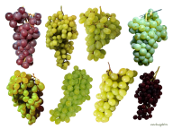 Grape Free PNG Image Download 57