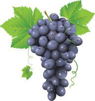 Grape Free PNG Image Download 6
