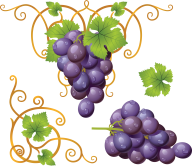 Grape Free PNG Image Download 7