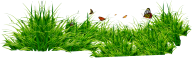 Grass Free PNG Image Download 1