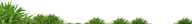 Grass Free PNG Image Download 10