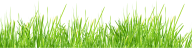 Grass Free PNG Image Download 16
