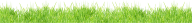 Grass Free PNG Image Download 18