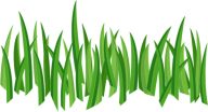 Grass Free PNG Image Download 21