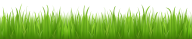 Grass Free PNG Image Download 23