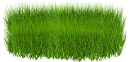 Grass Free PNG Image Download 27