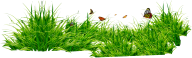 Grass Free PNG Image Download 28