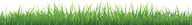 Grass Free PNG Image Download 3