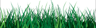 Grass Free PNG Image Download 38