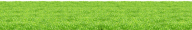 Grass Free PNG Image Download 43