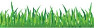 Grass Free PNG Image Download 5