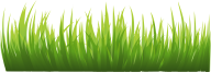 Grass Free PNG Image Download 6